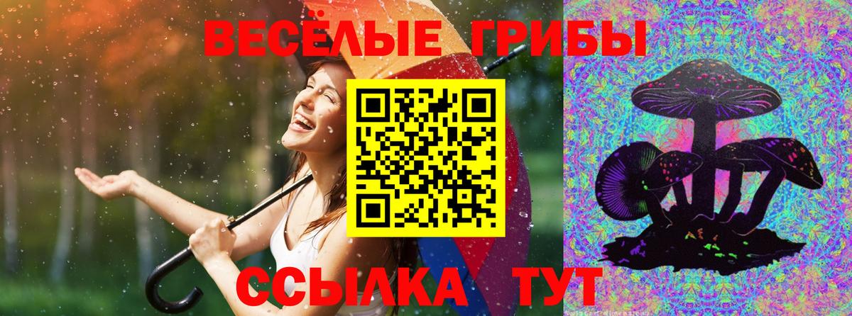Псилоцибиновые грибы мицелий  Вход с VPN  Дюртюли 